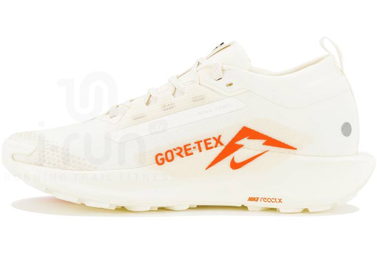 Nike Pegasus Trail 5 Gore-Tex 