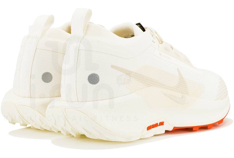 Nike Pegasus Trail 5 Gore-Tex 