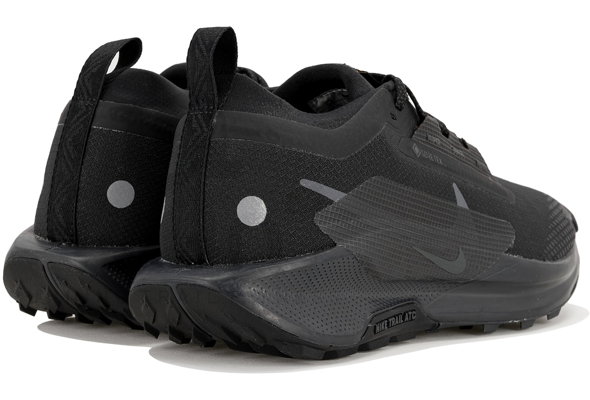 Nike Pegasus Trail 5 Gore-Tex