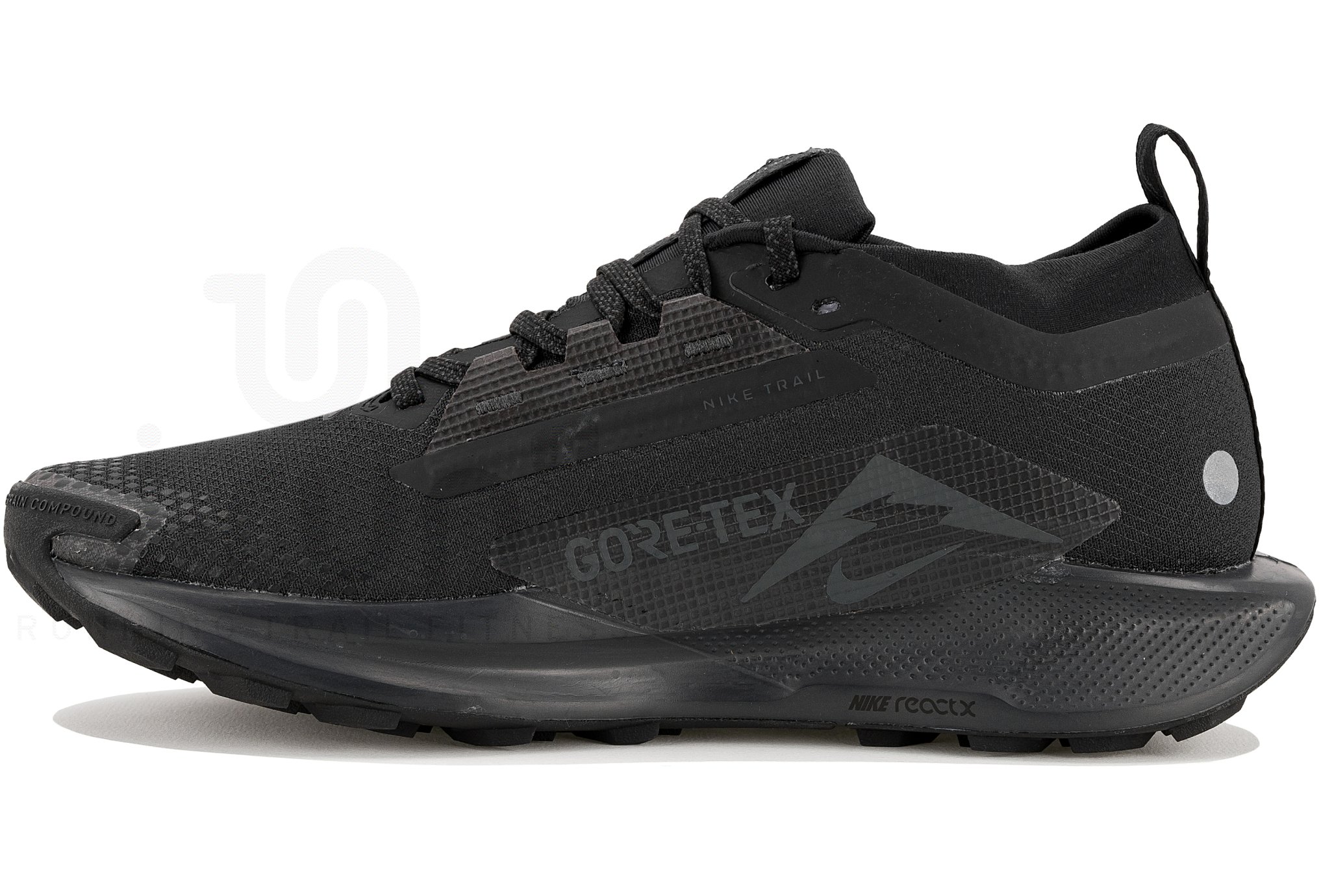 Nike Pegasus Trail 5 Gore-Tex