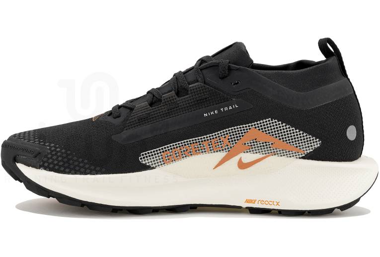 Nike Pegasus Trail 5 Gore-Tex 