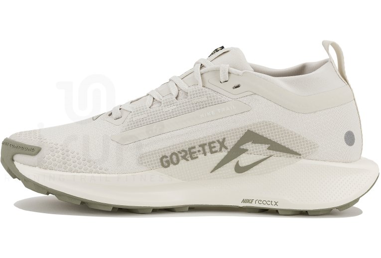 Nike Pegasus Trail 5 Gore-Tex 