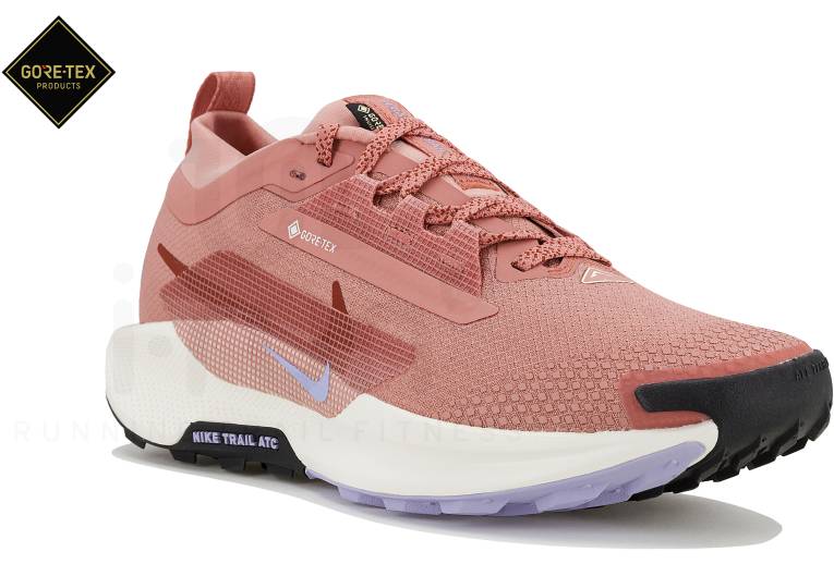Nike Pegasus Trail 5 Gore-Tex 
