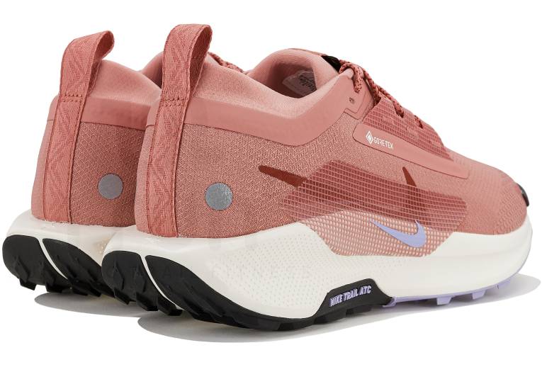 Nike Pegasus Trail 5 Gore-Tex 