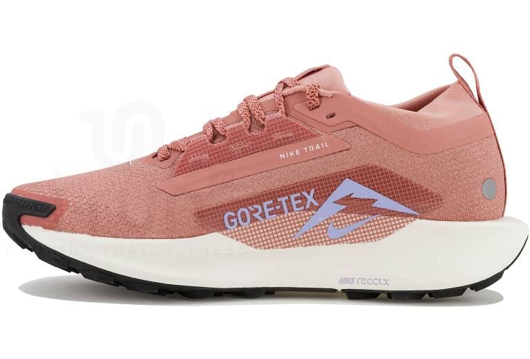 Nike Pegasus Trail 5 Gore-Tex 
