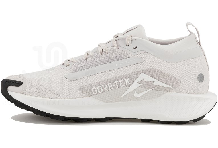Nike Pegasus Trail 5 Gore-Tex 