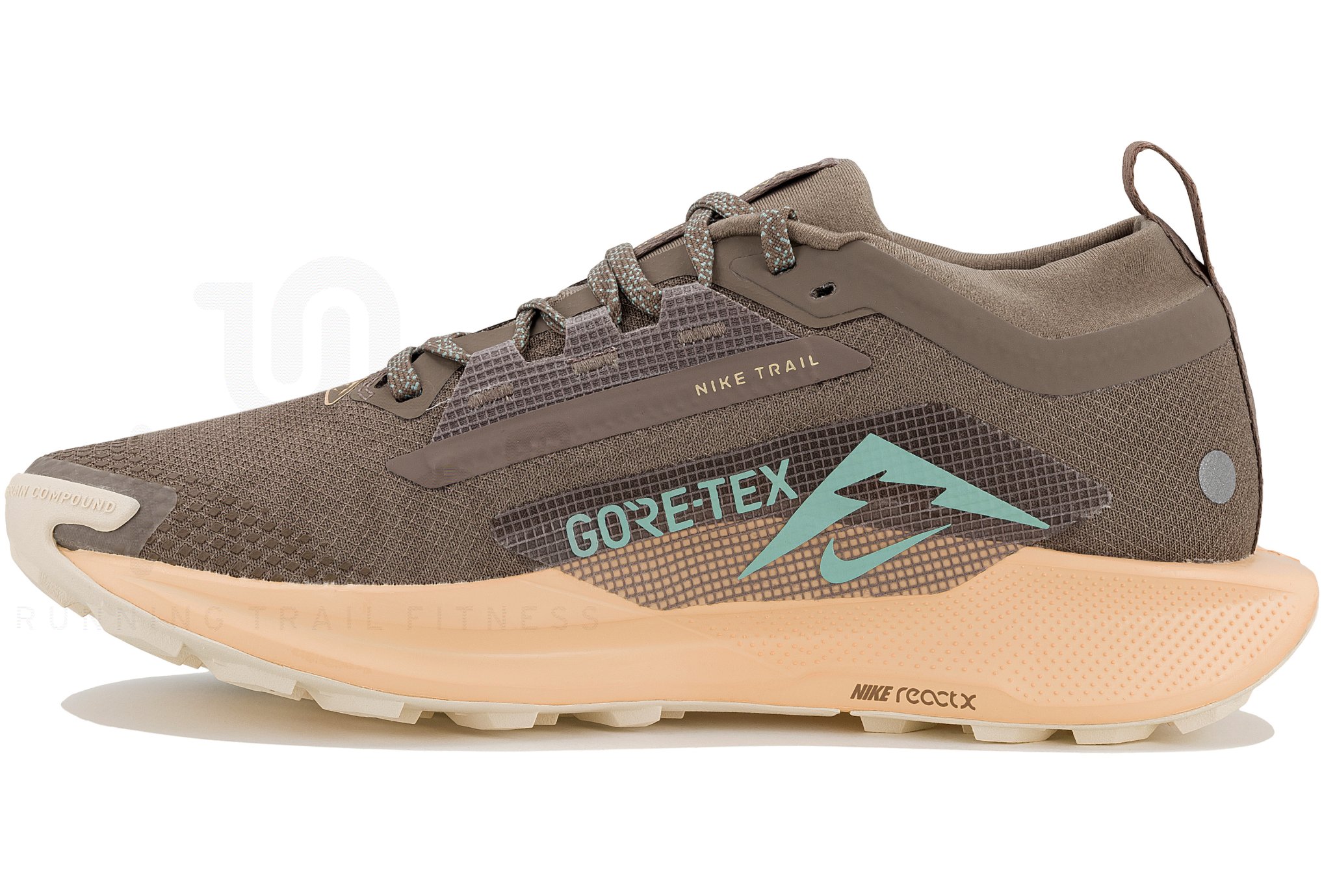 Nike Pegasus Trail 5 Gore-Tex