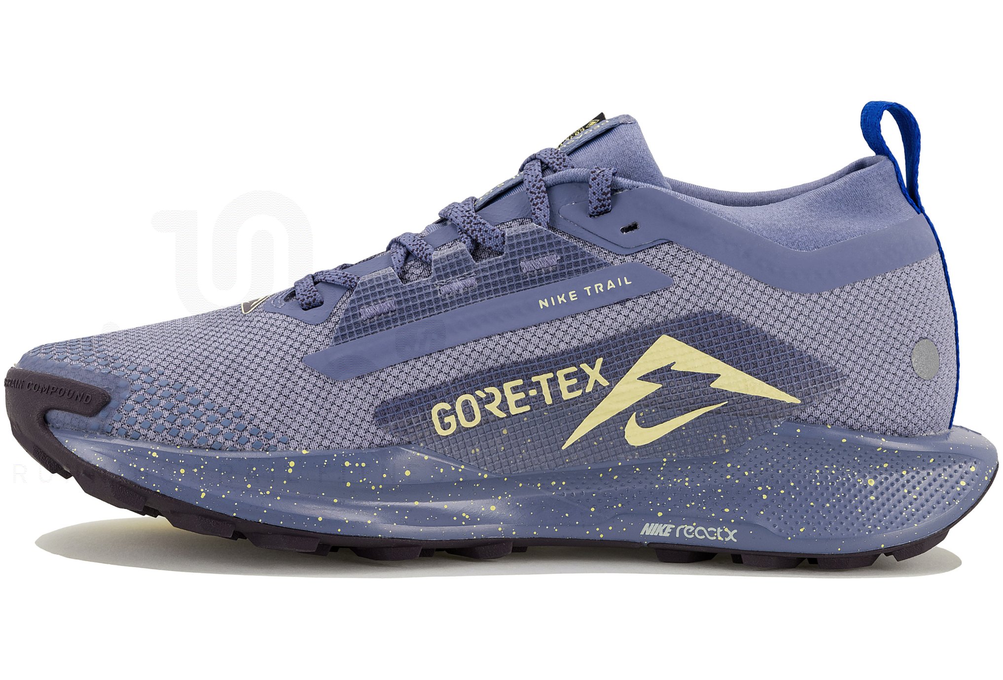 Nike Pegasus Trail 5 Gore-Tex