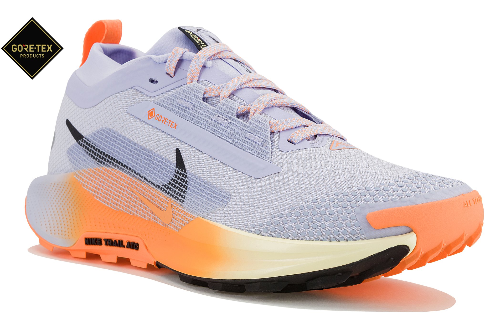 NIKE PEGASUS TRAIL 5 GORE-TEX - i-Run