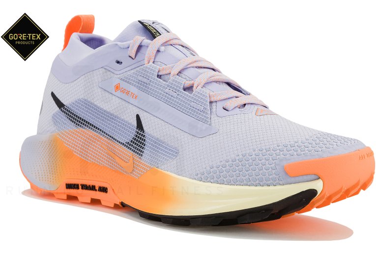 Nike Pegasus Trail 5 Gore-Tex