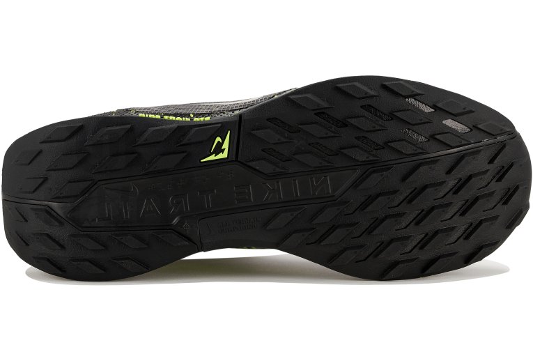 Nike Pegasus Trail 5 Gore-Tex