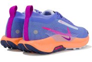 Nike Pegasus Trail 5 Gore-Tex