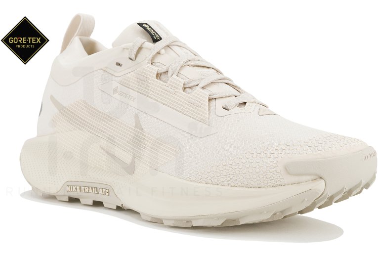 Nike Pegasus Trail 5 Gore-Tex W