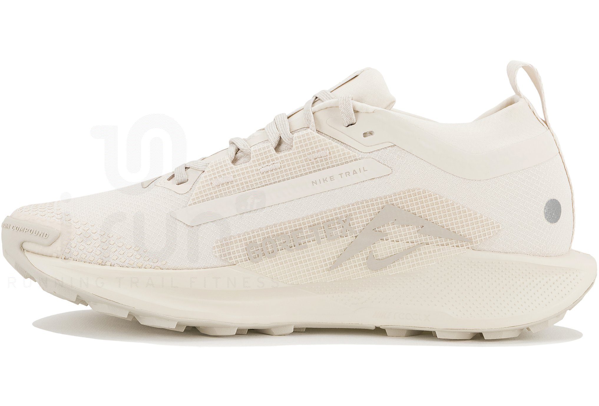 Nike Pegasus Trail 5 Gore-Tex W