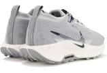 Nike Pegasus Trail 5 Gore-Tex M