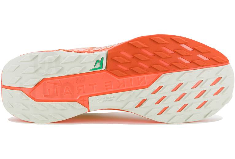 Nike Pegasus Trail 5 Gore-Tex