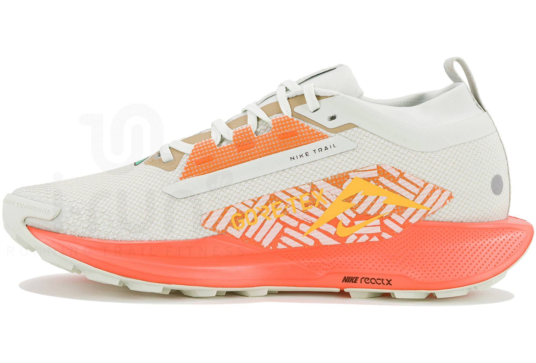 Nike Pegasus Trail 5 Gore-Tex
