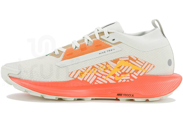 Nike Pegasus Trail 5 Gore-Tex
