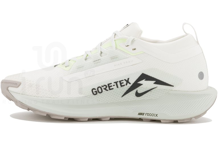 Nike Pegasus Trail 5 Gore-Tex M