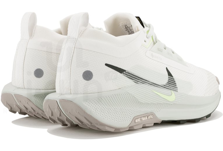 Nike Pegasus Trail 5 Gore-Tex M