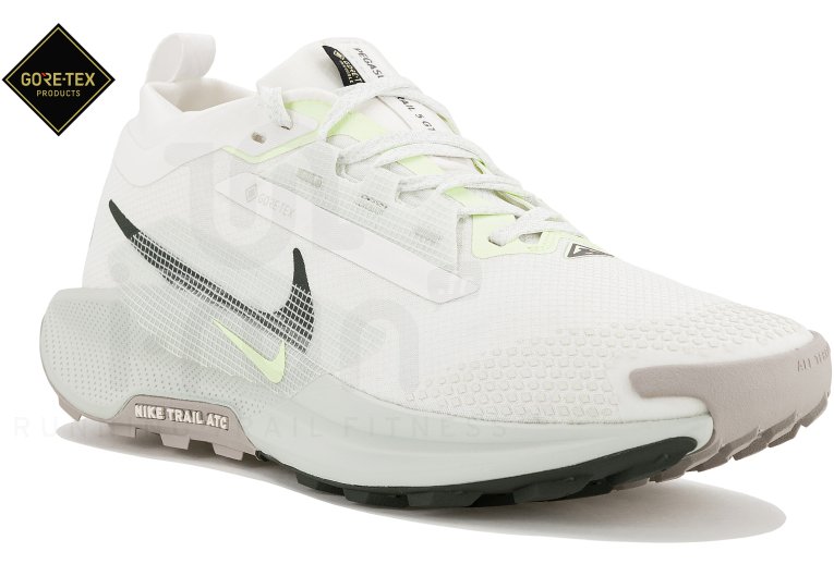 Nike Pegasus Trail 5 Gore-Tex M