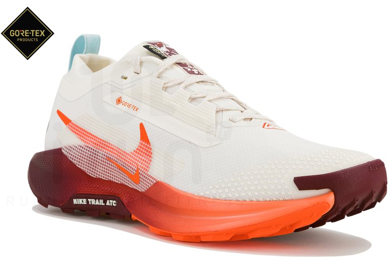 Nike Pegasus Trail 5 Gore-Tex