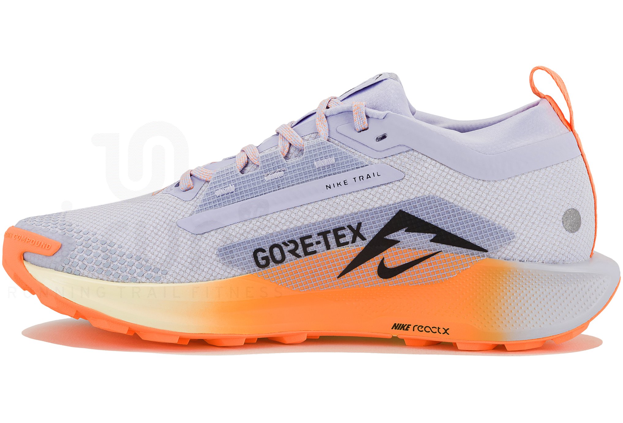 Nike Pegasus Trail 5 Gore-Tex