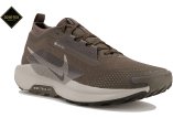 Nike Pegasus Trail 5 Gore-Tex
