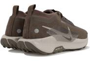 Nike Pegasus Trail 5 Gore-Tex