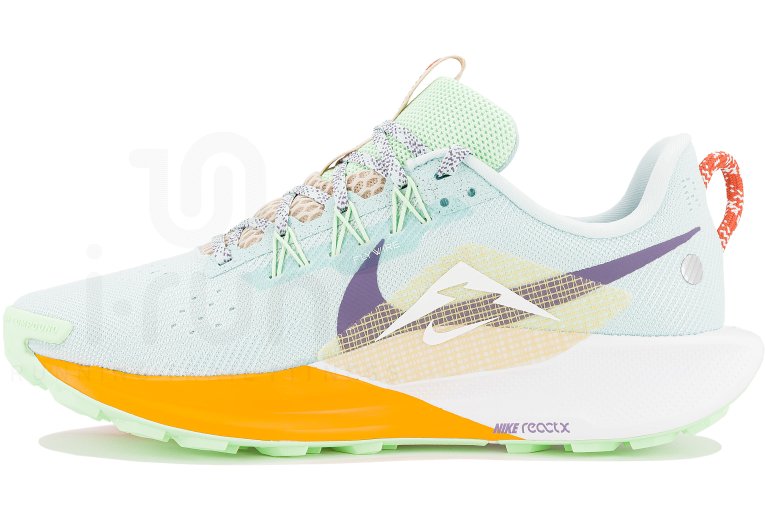 Nike Pegasus Trail 5