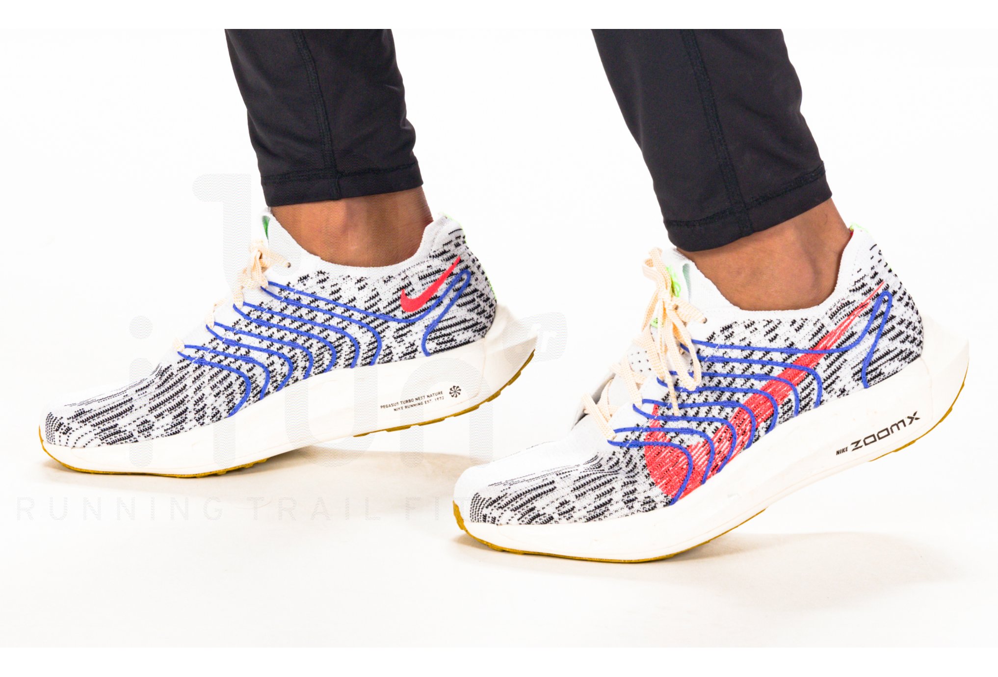 Nike Pegasus Turbo Next Nature Herren