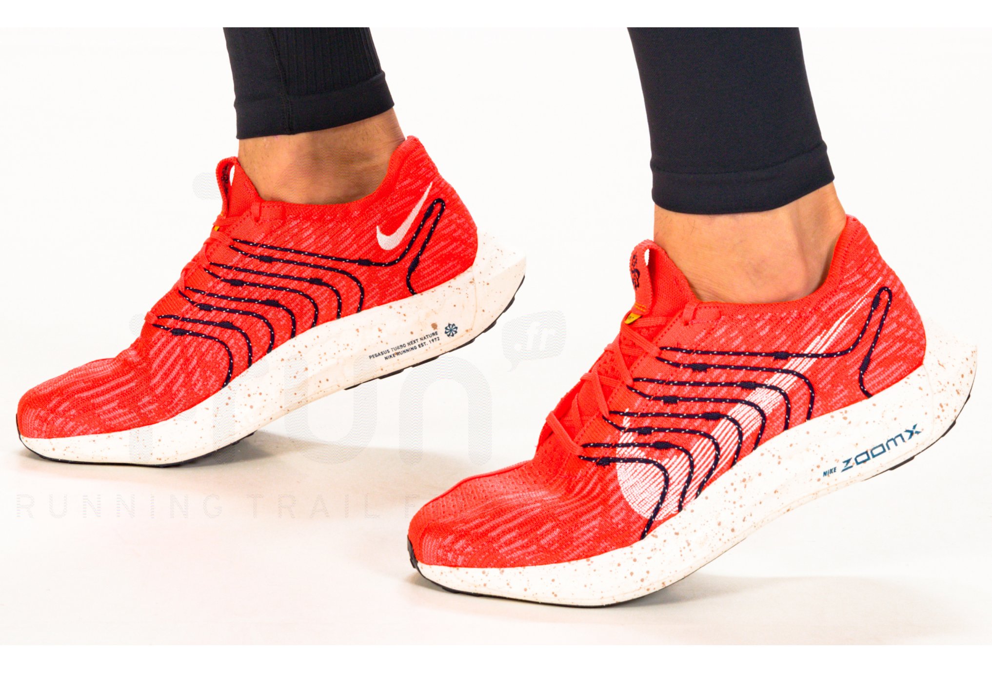 Nike Pegasus Turbo Next Nature M