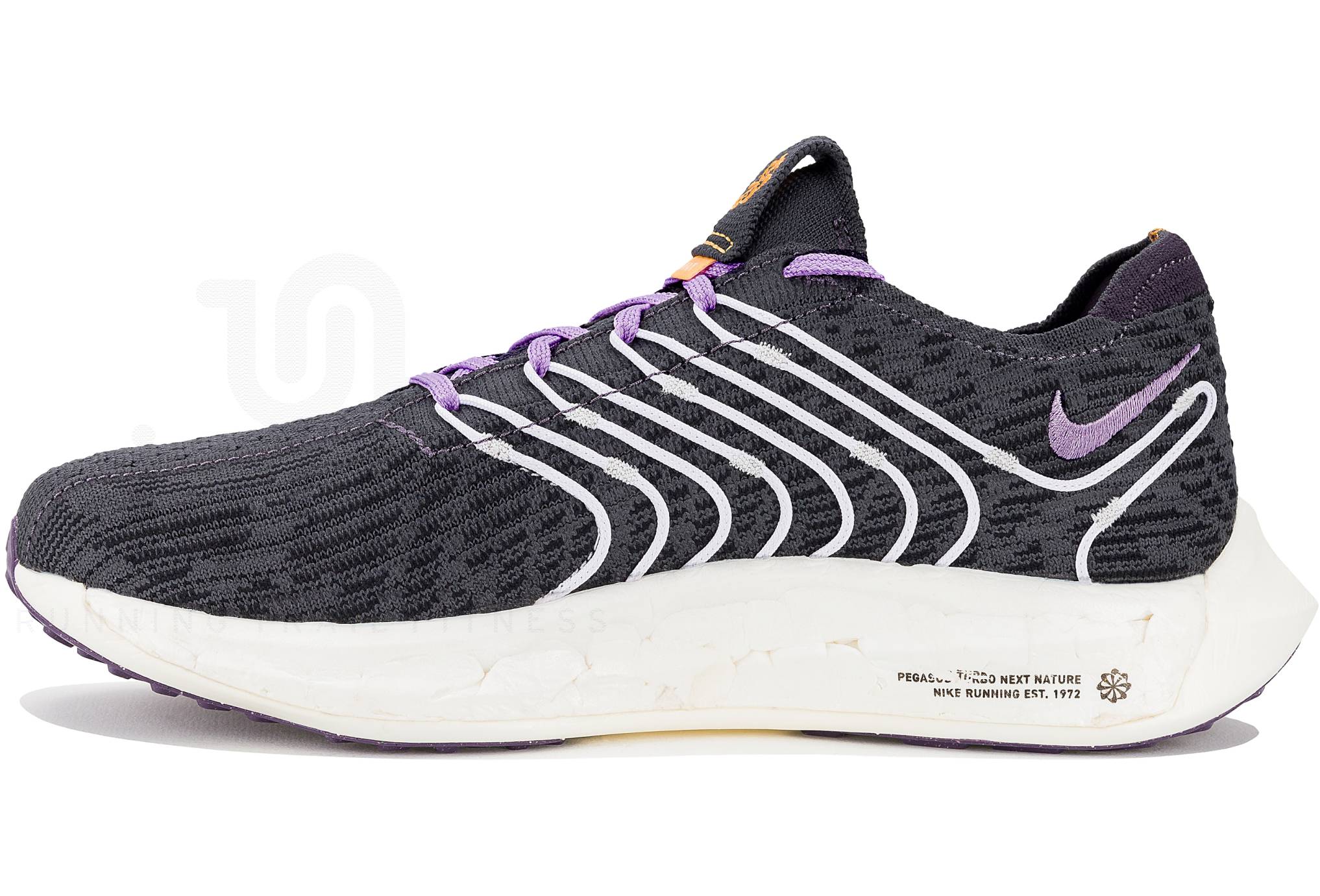 Nike Pegasus Turbo Next Nature