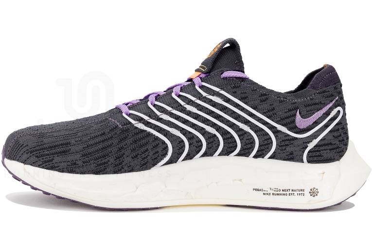 Nike Pegasus Turbo Next Nature W 