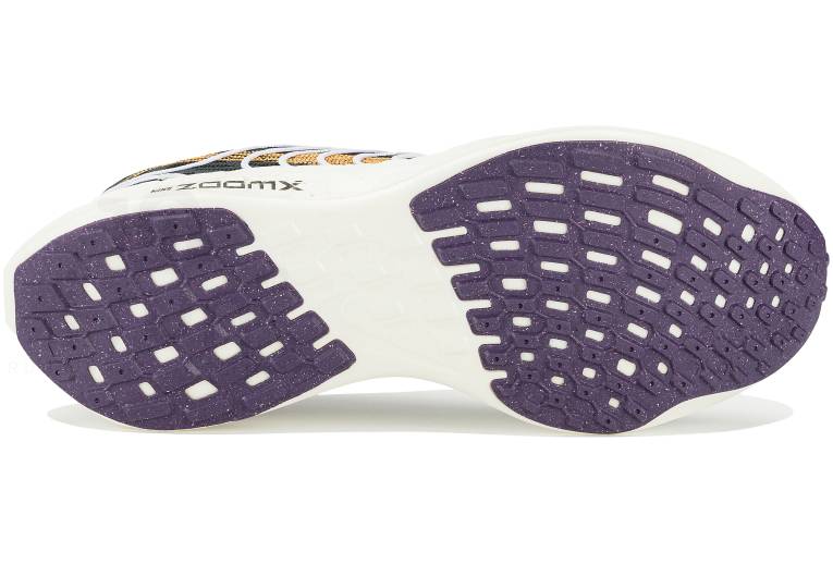Nike Pegasus Turbo Next Nature W 