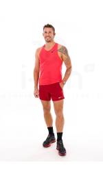 Nike Stride
