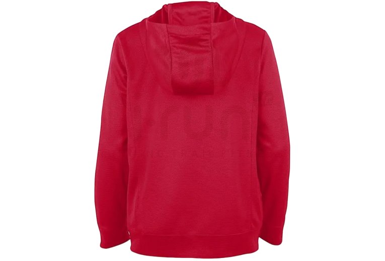 Nike Team Hoodie Junior