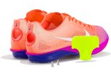 Nike :ZoomX Dragonfly 2 RSG