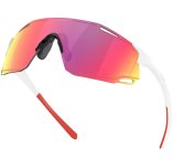 Oakley Cybr Dyno Prizm Stra�e