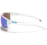 Oakley Gibston Prizm