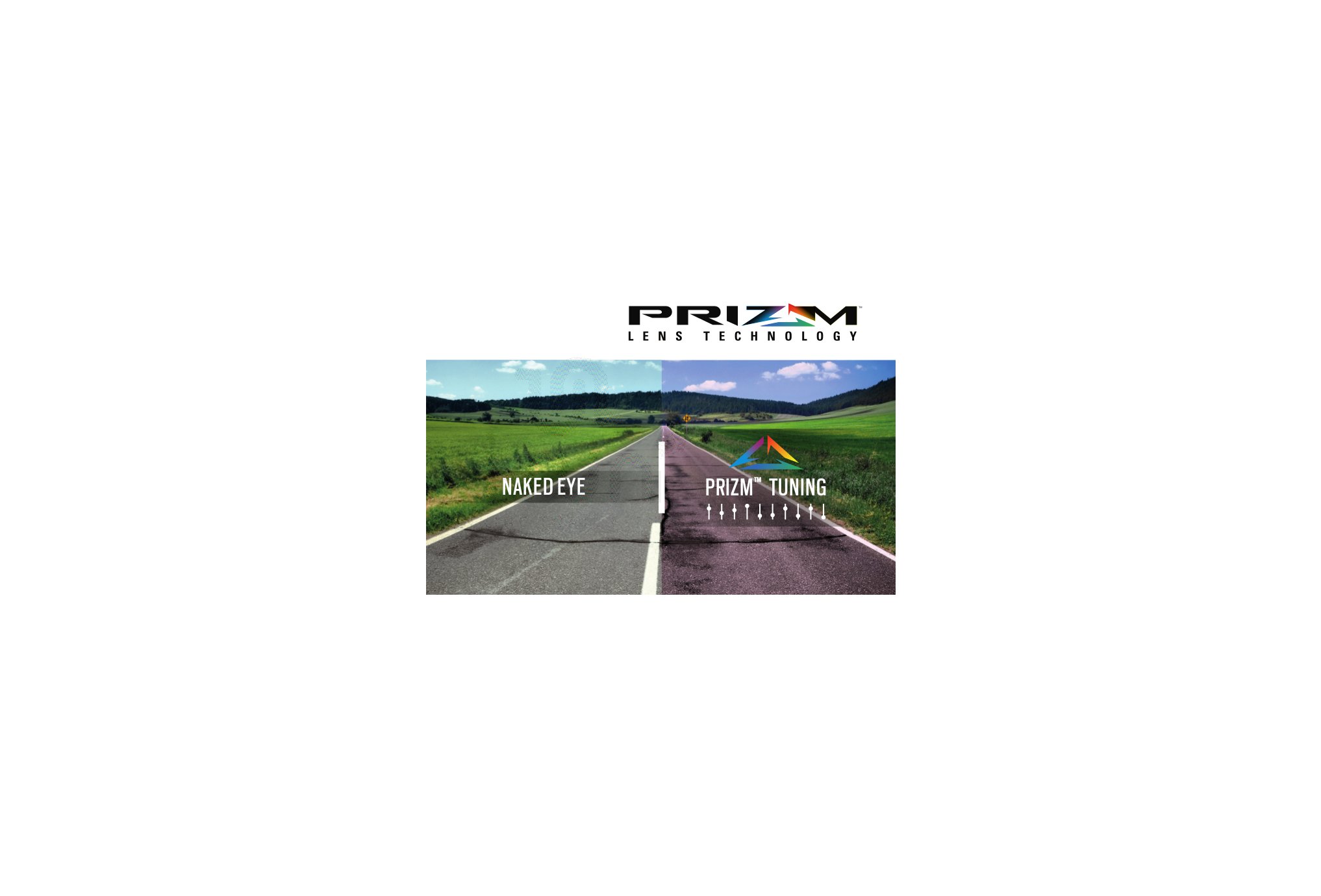 Oakley Holbrook Prizm Polarized