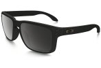 Oakley Holbrook Prizm Polarized