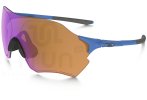 Oakley Gafas EVZero Range Prizm Trail