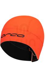 Orca Swim