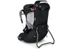 Osprey Poco