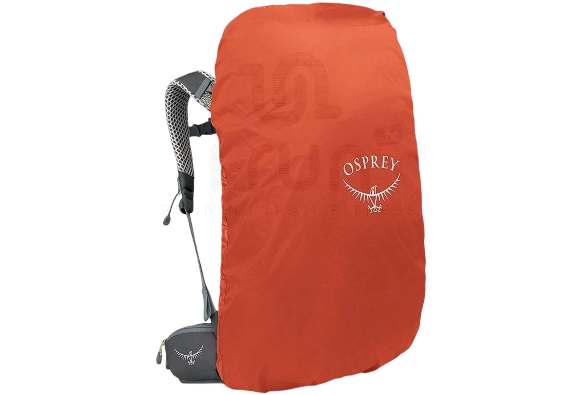 Osprey Sirrus 36 W