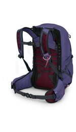 Osprey Tempest 22
