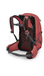 Osprey Tempest 22