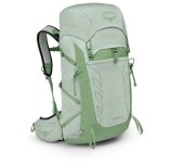 Osprey Tempesta 33