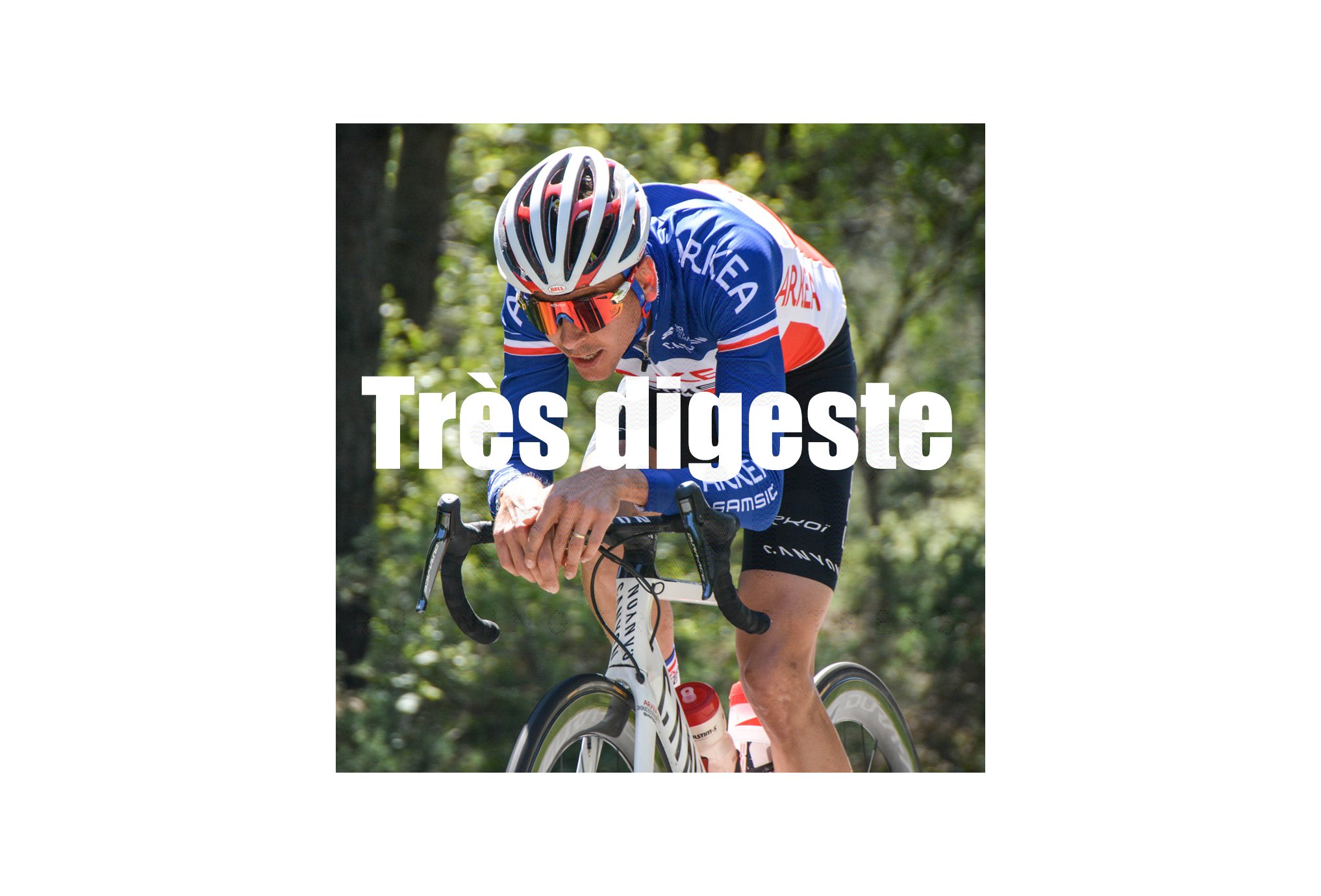 OVERSTIMS Gatosport 400 g - Chocolate/pedacinhos de chocolate